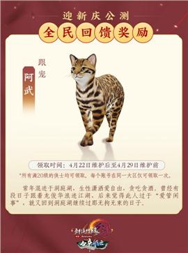匠心网络天龙八部私服